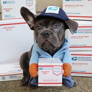 Dog Costume Mail Man USPS